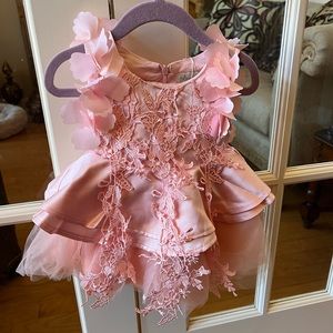 New w/tag Trish Scully Bianca Dress Pink size 12-18 months